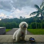 Andy Ong - @ong6207 - Instagram