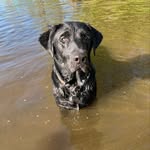 Andy Osland - @aosland1274 - Instagram