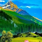 Andy Pacheco - Facebook