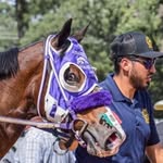 Andy Pacheco Ramirez 🏇 - @andypacheco7 - Instagram