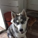 Andy_Packerfan - @is_ya_boi_packer_ - Instagram