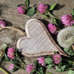Andrea Pasternak - Facebook