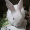 Andy Pattinson - @andypattinson - TikTok