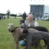 Andy Perkins - @andy.perkins4 - TikTok