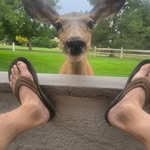 Andy Phelps - @andyphelps840 - Instagram