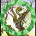 Andrew Phipps - Facebook