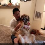 Andy Phu - @andyphu6 - Instagram
