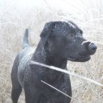 Andy - @andy.pickett1 - Instagram