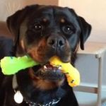 Andy Plummer - @plummer_andy - Instagram