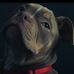 Andy Popper - Facebook