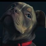 Andy Popper - @andre.w8691 - Instagram