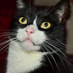 Andy Powers - @andypowers5113 - Instagram