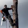 Andrew Pridgeon - @andrew.pridgeon - TikTok