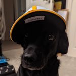 Andy Proctor - @theproccast - Instagram