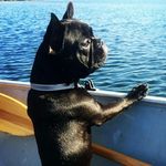 Andy Pugh - @aframe_creations - Instagram