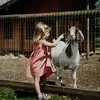 Andy - @andyyrae - TikTok