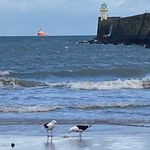 Andy Redman - @a.a.redman - Instagram