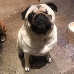 Andy Redman - @andy.redman.161 - Instagram