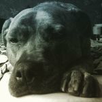 Andy_Redman_Beagan - @andy_redman_beagan - Instagram