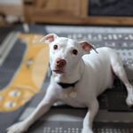 Andy Regan - @reganbluemoon - Instagram