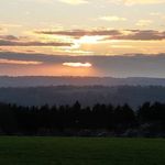 Andy Rhoades - @andy.rhoades - Instagram