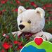 Andy Rieger - Facebook
