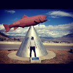 Andy Riley - @andyriley - Instagram