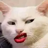 Andy Ro - @andy.ro07 - TikTok