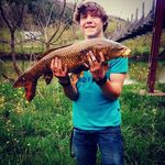 Andy Roark - @adroark2929 - Instagram