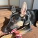 Andy Roark - Facebook