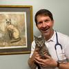 Dr. Andy Roark - @thedrandyroark - TikTok