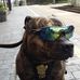 Andy Roberts - Facebook