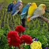 Andy Roberts - @andy.roberts2 - TikTok