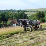 Harnessed to the Land - @andyrobinson882 - Instagram
