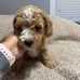 Andy Roger - Facebook