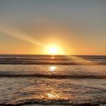 Andy Rohr - @andyrohr11 - Instagram