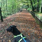 Andy Rothwell - @rothwell_andy - Instagram