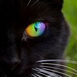 Andy Rothwell - @andyrothwell1959 - Instagram