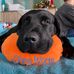 Andy Rupp - Facebook