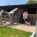 Andrew Sadler - Facebook