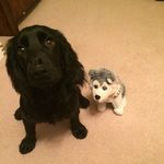 Andy Sadler - @sadler.andy - Instagram