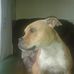Andy Sadler - Facebook