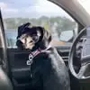 Andy Sadler - @andy.sadler3 - TikTok
