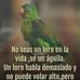 Andy Salazar - Facebook