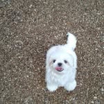 R Andy Sanford - @randy.sanford.796 - Instagram
