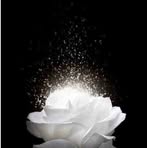 Andy Sang - Facebook