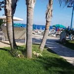 Andy Savva - @andy.savva.167 - Instagram
