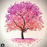 @andysaxonwold - Instagram