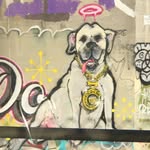Andy Schacht - @andy_schacht - Instagram