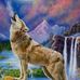 Andrew Schell - Facebook